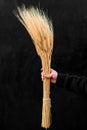 Fluffy bouquet of light beige flowers in a woman& x27;s hand on a black background