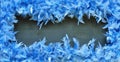 Fluffy bright blue frame on black background from bird feathers