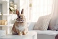 Fluffy bunny: cute indoor portrait in a home setting