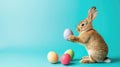 Fluffy bunny surrounded by easter eggs on blue background, text space Royalty Free Stock Photo