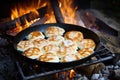 fluffy campfire pancakes cooking in a hot skillet Royalty Free Stock Photo