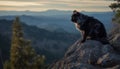Fluffy canine sitting on mountain cliff, looking at tranquil landscape generated by AI