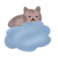 Fluffy cat on the clouds