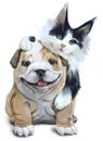 Fluffy cat embracing French bulldog. Watercolor drawing Royalty Free Stock Photo