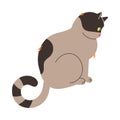 Fluffy Cat with Grey Spotted Coat and Curved Tail Sitting Vector Illustration