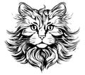 Fluffy cat head hand drawn sketch in engraving style Vector illustration. Royalty Free Stock Photo