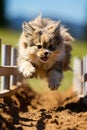 A fluffy cat jumping over a wooden fence. Generative AI image.