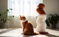 Fluffy cat next to a modern scratching post on the floor in an apartment Royalty Free Stock Photo