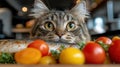 Fluffy cat observes fresh fish and colorful vegetables in kitchen Royalty Free Stock Photo
