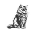 Fluffy cat sitting hand drawn sketch Pets. Vector illustration desing Royalty Free Stock Photo