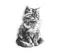 Fluffy cat sitting hand drawn sketch Pets. Vector illustration desing Royalty Free Stock Photo