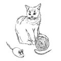 A fluffy cat and toys, a mouse, a ball of thread, all objects are hand-drawn with ink. Vector illustration for postcards Royalty Free Stock Photo