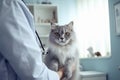 Fluffy cat in veterinarian hands in veterinary clinic. Pets medical exam. AI generated