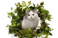 Fluffy cat and a wreath of wild flowers