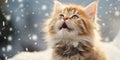 A fluffy cat yawns in the snow. Generative AI image.