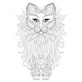 Fluffy Cat, zentangle style. Freehand sketch for adult antistress coloring page with doodle elements. Ornamental artistic vector