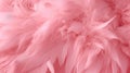 Fluffy cherry blossom pink feather fashion design background - Happy Valentine fuzzy textured soft focused photograph - Fashion Royalty Free Stock Photo