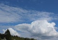 Cumulus clouds appeared in the spring sky