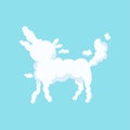 Fluffy cloud in bizarre shape of dog. Children imagination. Silhouette of domestic animal. Flat vector design for kids