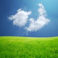 Fluffy cloud and green field