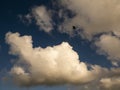 Fluffy clouds over sunset sky and a bird. Fluffy cumulus cloud shape photo, gloomy cloudscape background, smoke in the sky Royalty Free Stock Photo