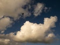 Fluffy clouds over sunset sky and a bird. Fluffy cumulus cloud shape photo, gloomy cloudscape background, smoke in the sky Royalty Free Stock Photo