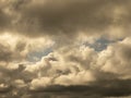 Fluffy clouds over sunset sky. Fluffy cumulus cloud shape photo, gloomy cloudscape background, smoke in the sky Royalty Free Stock Photo