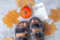 Fluffy comfortable home slippers on female feet next to calendar, yellow leaves and pumpkin top view