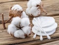 Fluffy cotton ball and cotton swabs and pads on wood.