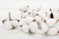 Cottons on a white background Royalty Free Stock Photo