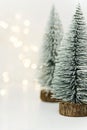 Fluffy covered with snow Christmas trees in forest golden bokeh garland lights white background. New Years holiday magic