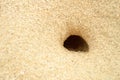 Fluffy crab hole in beach sand, hole made by sand crab Royalty Free Stock Photo