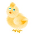 Fluffy cute baby chick is isolated on a white background. Yellow fluffy fledgling in 3d style for Easter greeting card, web