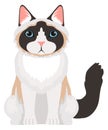 Fluffy cute cat sitting. Cartoon ragdoll breed icon