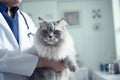 Fluffy cat in veterinarian hands in veterinary clinic, close up. Pets medical exam. AI generated