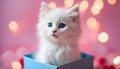 Fluffy cute kitten in a gift box. Greeting card for Valentine\'s Day, Birthday Royalty Free Stock Photo