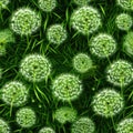 Fluffy Dandelion on a Green Meadow, Soft White Balls Royalty Free Stock Photo