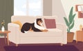 Fluffy dog lying on couch in modern living room. Happy pet resting on sofa at home. Colored flat vector illustration of