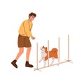 Fluffy dog training, does agility exercises. Owner plays with Shiba. Trainer teaches puppy to pass weave poles, slalom Royalty Free Stock Photo