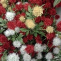 Fluffy Fake Flowers