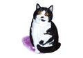Black and white cat on a white background. Watercolor illustration. Royalty Free Stock Photo