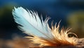 Fluffy feather flying, vibrant colors in nature tranquil elegance generated by AI