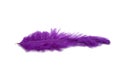 fluffy feather in purple color isolated Royalty Free Stock Photo