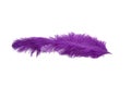 fluffy feather in purple color isolated Royalty Free Stock Photo