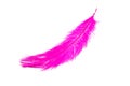 fluffy feather in purple color isolated Royalty Free Stock Photo