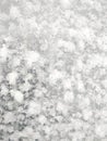 Fluffy flakes of white snow close-up. Winter background