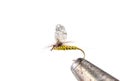 Fluffy fly fishing hook on white background Royalty Free Stock Photo