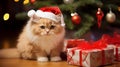 Fluffy ginger cat Christmas hat tree presents Royalty Free Stock Photo