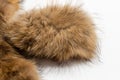 Fluffy tousled wild animal fur on white background Royalty Free Stock Photo