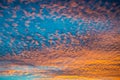 Fluffy gold clouds during a sunset Royalty Free Stock Photo